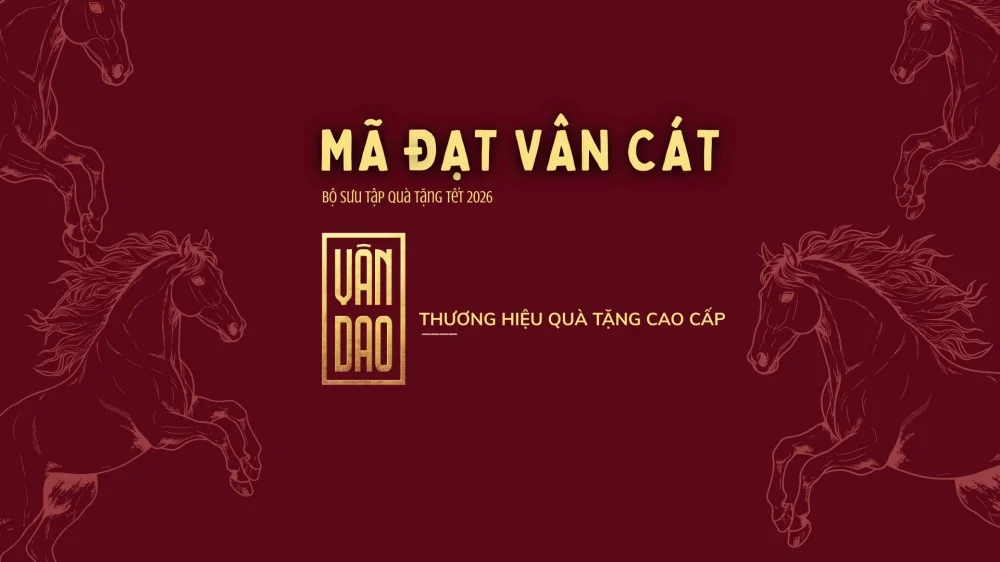 Bối cảnh dự án & bài toán "thử lửa" từ phía Vân Dao