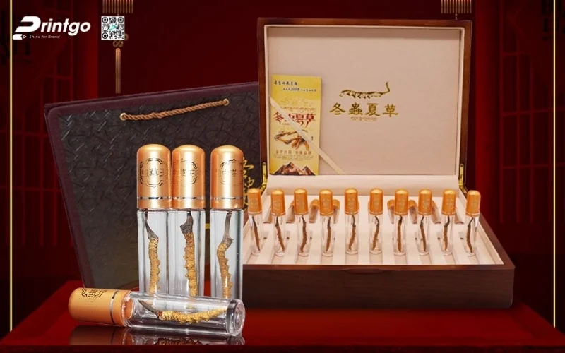 Các set quà tết đông trùng hạ thảo đẳng cấp nhất 2026 