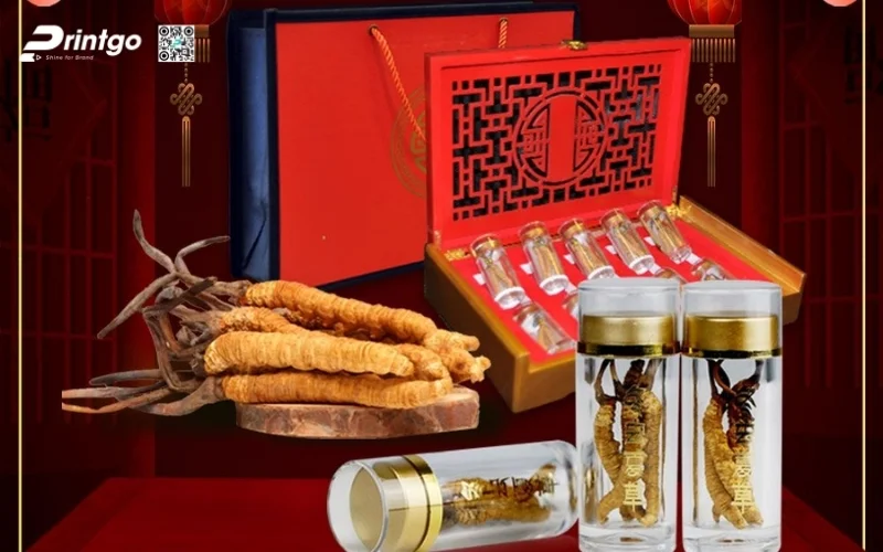 Các set quà tết đông trùng hạ thảo đẳng cấp nhất 2026 