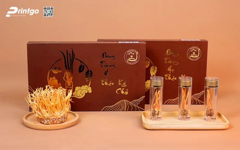 Các set quà tết đông trùng hạ thảo đẳng cấp nhất 2026 