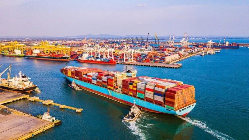 Tổng quan Xuất khẩu Ngành Bao bì & In ấn Việt Nam 2025