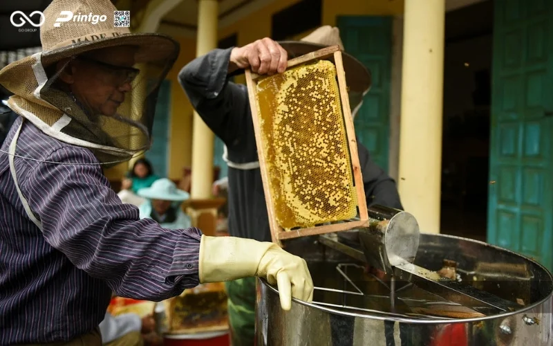 Mật ong hương rừng Tuyên Quang - Tinh túy chắt lọc từ đại ngàn Đông Bắc