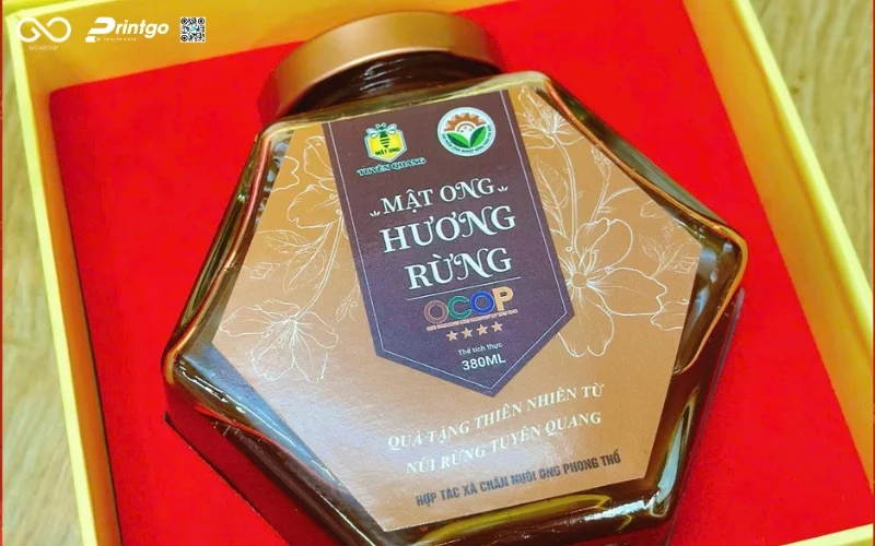 Review các mẫu bao bì hộp mật ong hương rừng Tuyên Quang hiện nay