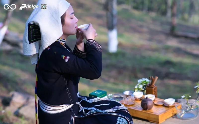 Chè Shan Tuyết Hồng Thái - Đặc sản vùng núi Na Hang Tuyên Quang