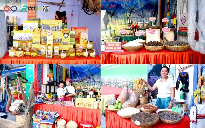Thay đổi bao bì sản phẩm OCOP Tuyên Quang bứt phá doanh thu 2026
