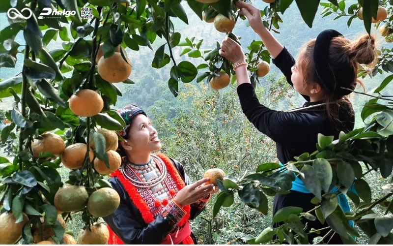 Tuyên Quang ghi nhận hơn 450 sản phẩm đạt chuẩn OCOP