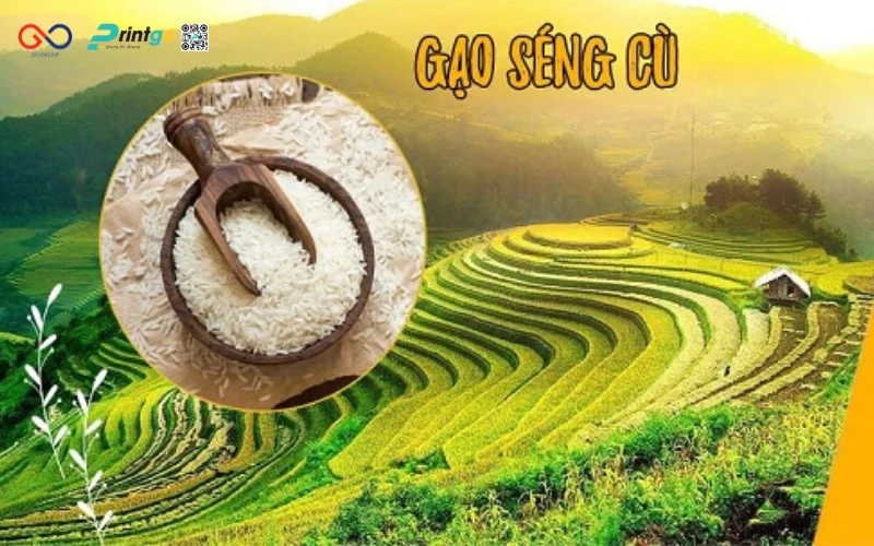 Gạo Séng Cù Lai Châu tinh hoa từ núi rừng Tây Bắc