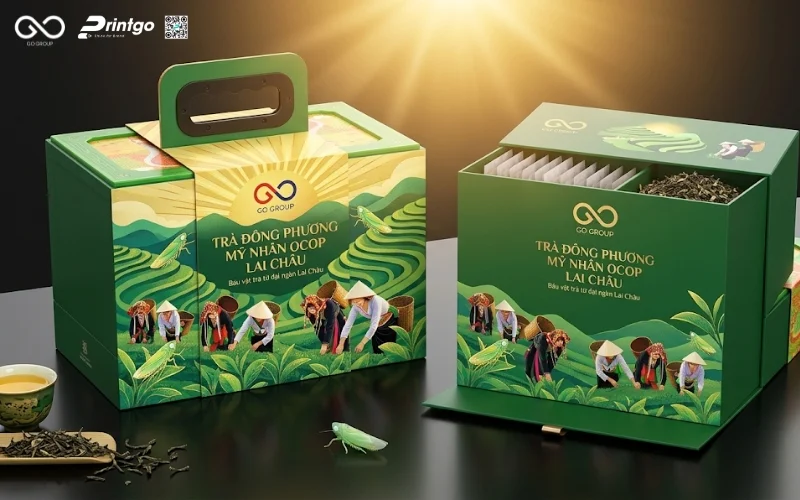 Mẫu hộp trà Đông Phương Mỹ Nhân Lai Châu cải tiến