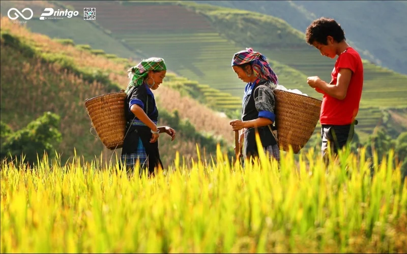 Thúc đẩy doanh số nhờ cải tiến bao bì khẩu xén Lai Châu OCOP chuyên nghiệp