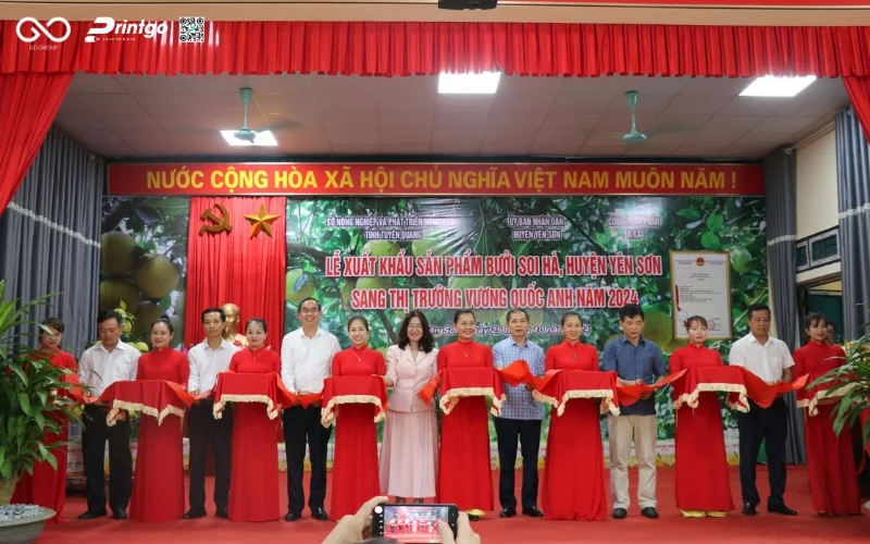 Sản lượng Tuyên Quang xuất khẩu bưởi Soi Hà sang Vương Quốc Anh