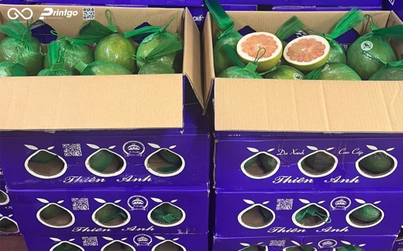 4 yếu tố giúp bao bì bưởi Soi Hà OCOP Tuyên Quang mở rộng thị trường xuất khẩu