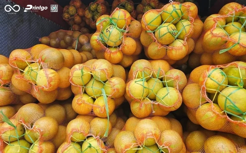 Xu hướng thiết kế bao bì nông sản bưởi chuẩn OCOP hiện nay