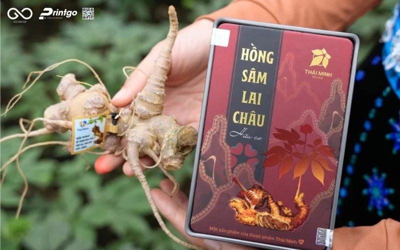 Giải pháp bao bì hồng sâm Lai Châu OCOP chuẩn quốc tế cho doanh nghiệp