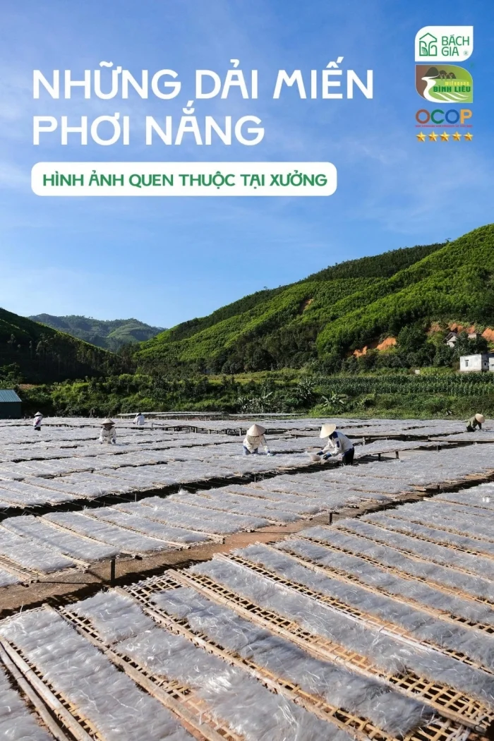 Miến dong Bình Liêu đã nhận được sự đầu tư đáng kể, trở thành sản phẩm OCOP 4