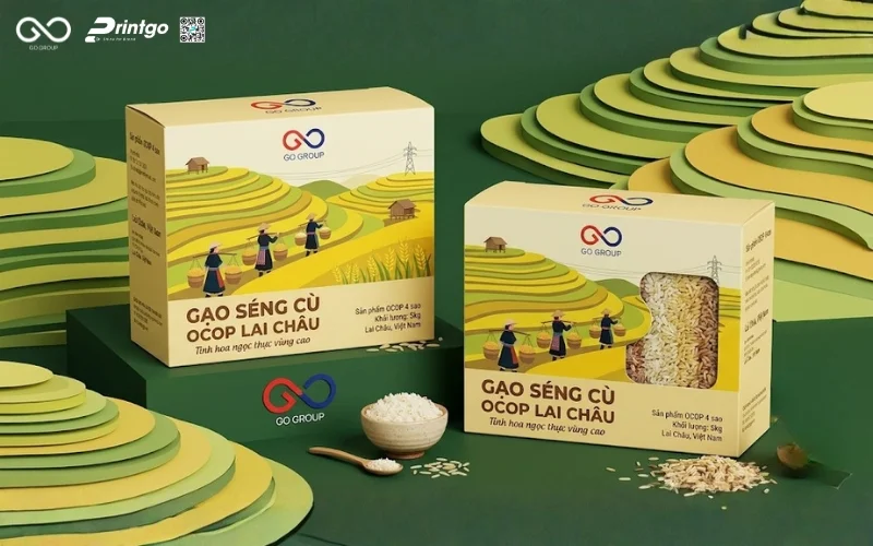 Mẫu cải tiến bao bì nông sản OCOP Lai Châu gạo Séng Cù