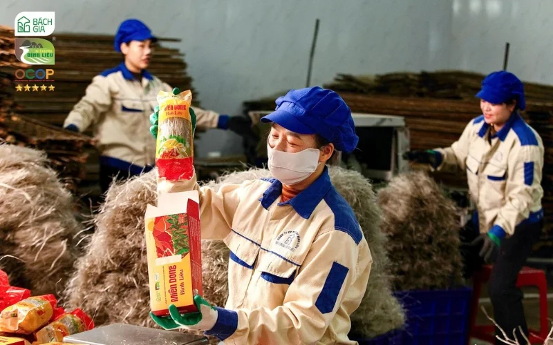Thay đổi bao bì miến dong Bình Liêu vươn tầm xuất khẩu