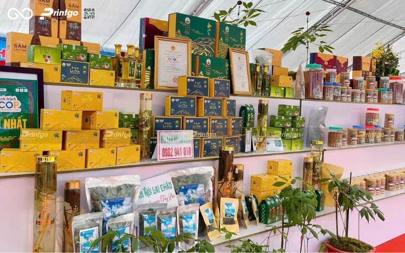 Tái định vị bao bì nhân sâm Lai Châu