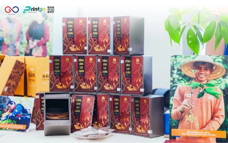 Cơ hội tiềm năng mở rộng kênh phân phối và xuất khẩu hồng sâm Lai Châu