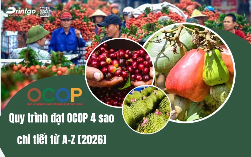 huong dan quy trinh dat ocop 4 sao chi tiet (1) 1776315010