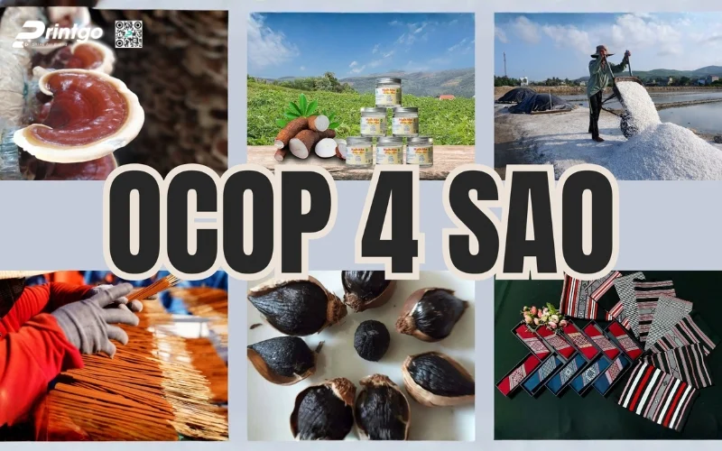 huong dan quy trinh dat ocop 4 sao chi tiet (10) 1776315043