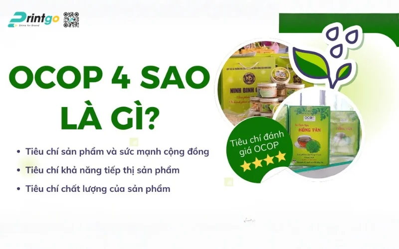 huong dan quy trinh dat ocop 4 sao chi tiet (14) 1776315027