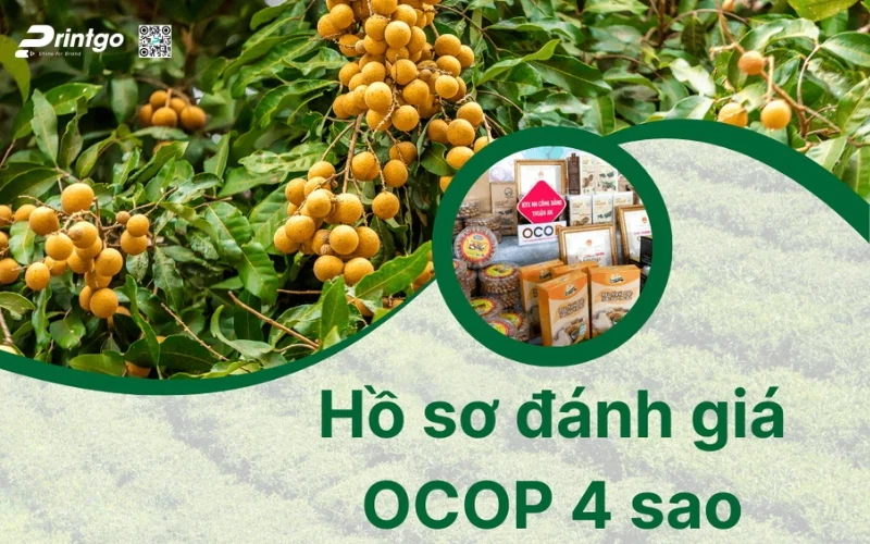 huong dan quy trinh dat ocop 4 sao chi tiet (16) 1776315159