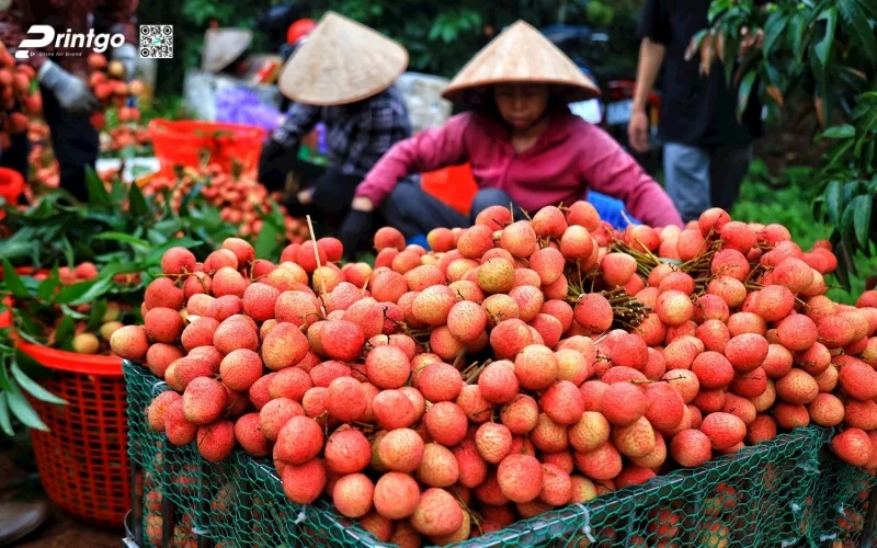 huong dan quy trinh dat ocop 4 sao chi tiet (4) 1776315444