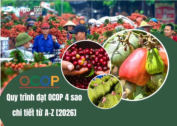 Hướng dẫn quy trình đạt chuẩn OCOP 4 sao chi tiết từ A-Z [2026]