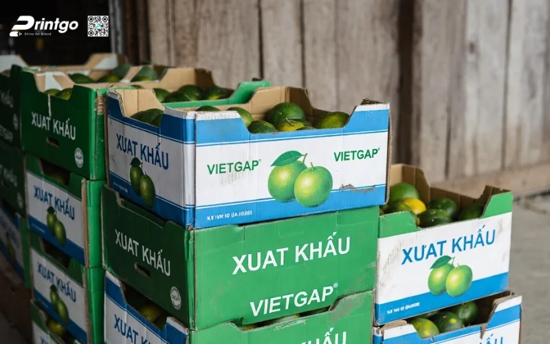 Kích thước thùng chanh xuất khẩu tiêu chuẩn