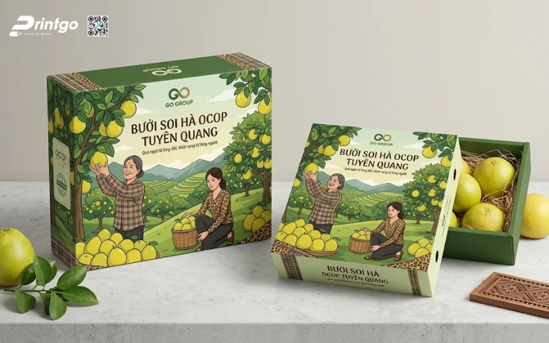 Mẫu bao bì bưởi Soi Hà Tuyên Quang