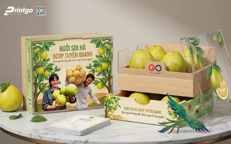 Mẫu bao bì bưởi Soi Hà Tuyên Quang