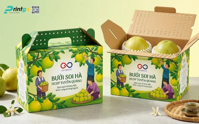 Mẫu bao bì bưởi Soi Hà Tuyên Quang