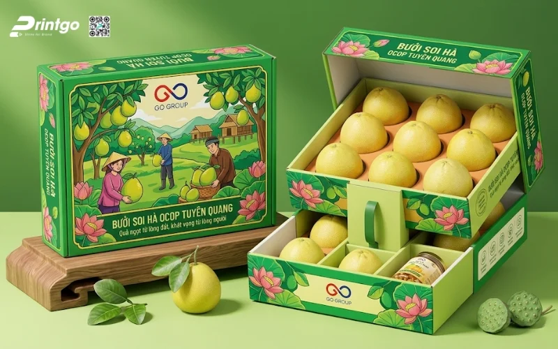 Mẫu bao bì bưởi Soi Hà Tuyên Quang
