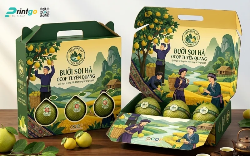Mẫu bao bì bưởi Soi Hà Tuyên Quang