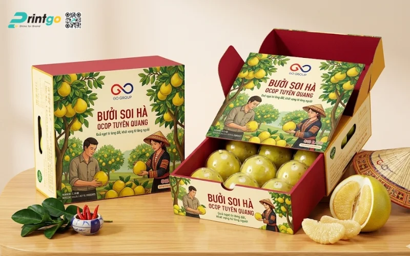 Mẫu bao bì bưởi Soi Hà Tuyên Quang