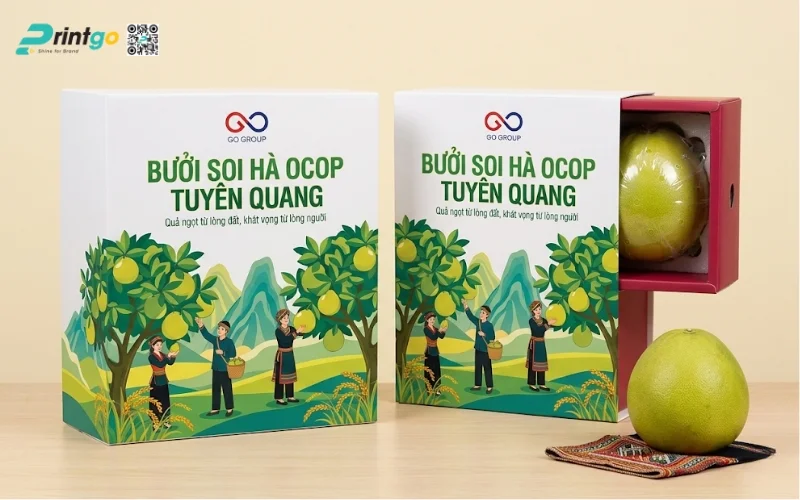 Mẫu bao bì bưởi Soi Hà Tuyên Quang