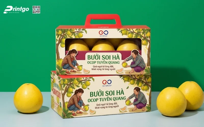 Mẫu bao bì bưởi Soi Hà Tuyên Quang