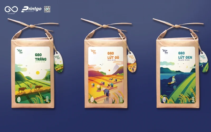 Mẫu bao bì siêu thị chuyên nghiệp 2026