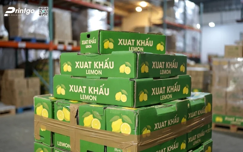 Quy cách đóng gói thùng chanh xuất khẩu chuẩn quốc tế