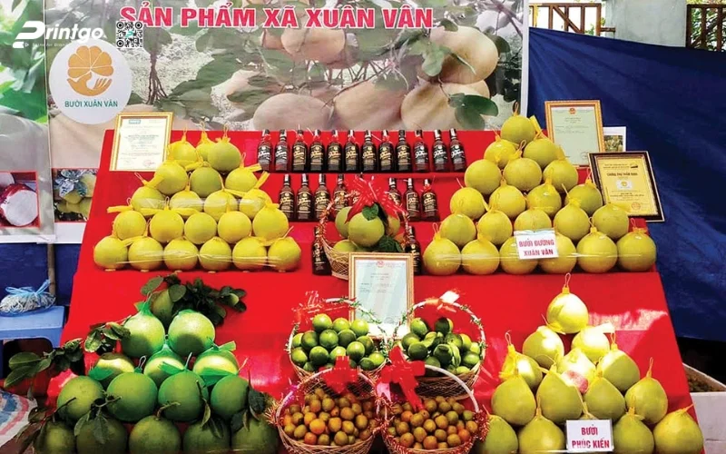 Điểm danh các sản phẩm OCOP Tuyên Quang tiêu biểu hiện nay