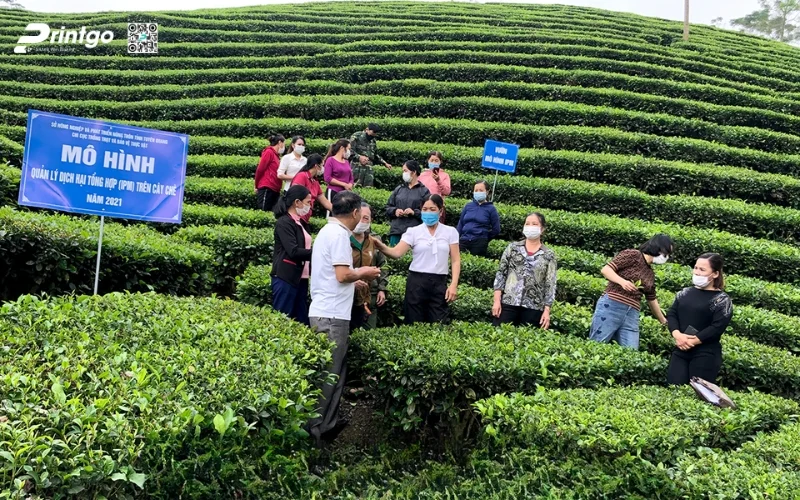 Để xứng tầm xuất khẩu bao bì sản phẩm OCOP Tuyên Quang cần thay đổi điều gì?