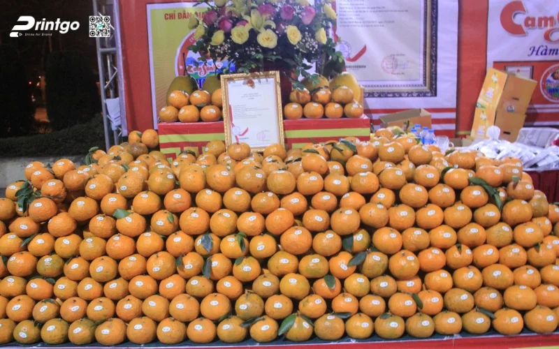 Nút thắt khiến nông sản Tuyên Quang chưa thể bứt phá