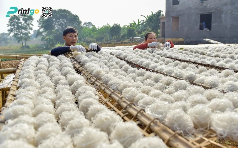 Đánh giá bao bì miến Cao Bằng hiện tại đang được lưu hành trên thị trường 