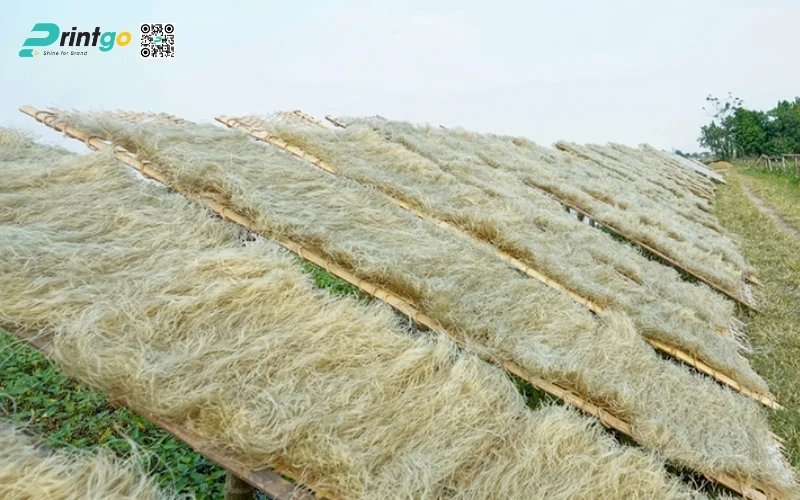 Bao bì miến Cao Bằng - Bài toán nâng cấp thương hiệu đặc sản vùng miền