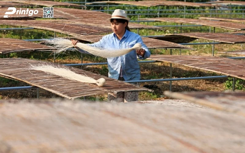 Tiềm năng phát triển của miến dong Cao Bằng mở rộng thị trường