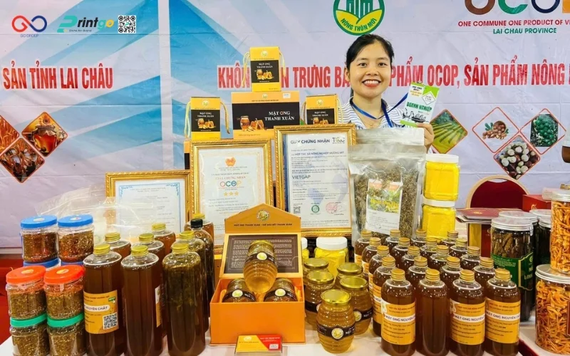 Tiềm năng phát triển và cơ hội xuất khẩu nông sản OCOP Lai Châu 2026