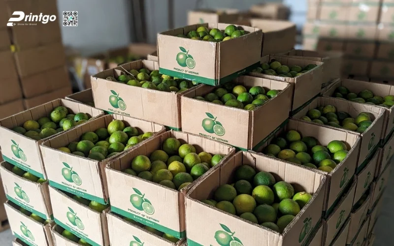 Vì sao quy cách đóng gói quyết định 80% chất lượng khi xuất khẩu?