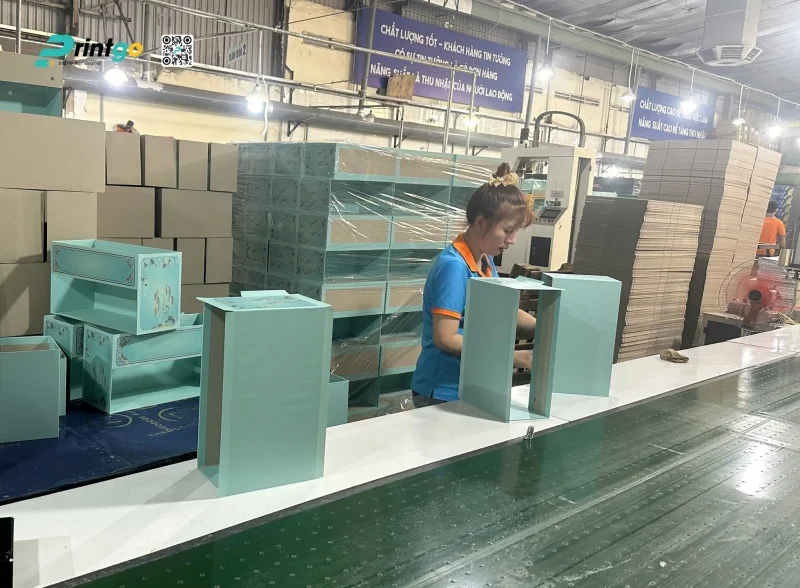 Bồi carton lạnh và tạo form hộp