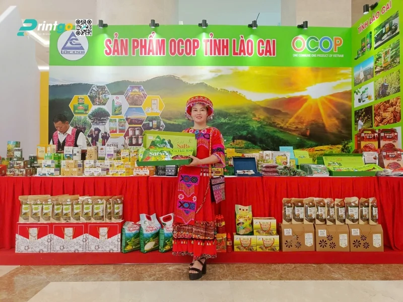 Hỗ trợ quảng bá du lịch và nâng cao giá trị xuất khẩu