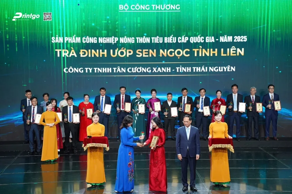 du an thiet ke va in hop dung tra tan cuong xanh qua tang ngoai giao cao cap thuong hieu 1781661437